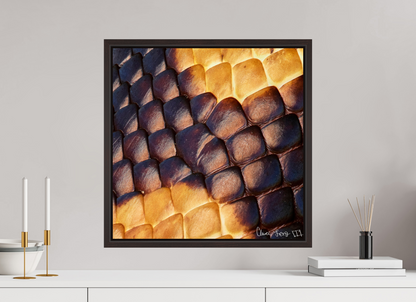 20 x 20″, Floater Frame Alder Brown Python’s Glow