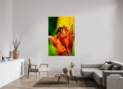 44 x 66″, Glossy Metal Perched Grave