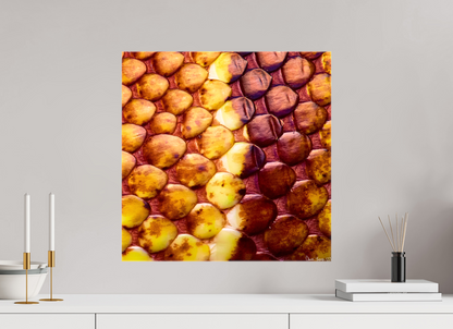 20 x 20″, Glossy Canvas Reptilian Divide