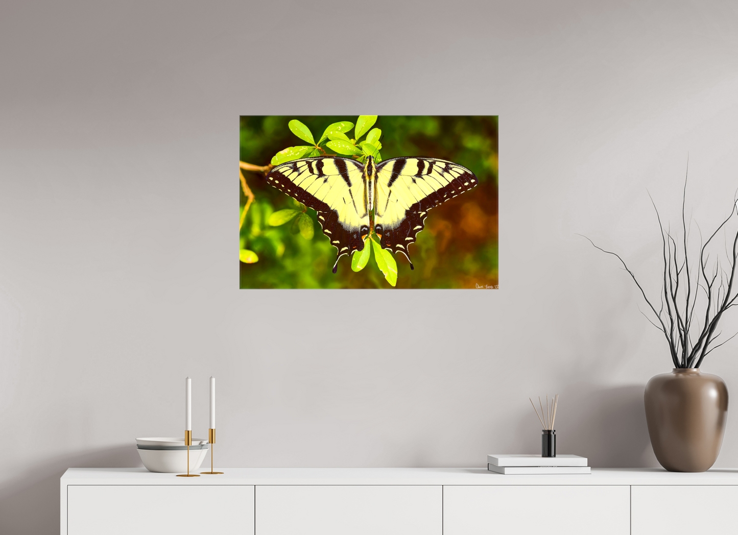 30 x 20″, Glossy Canvas Angel's Landing