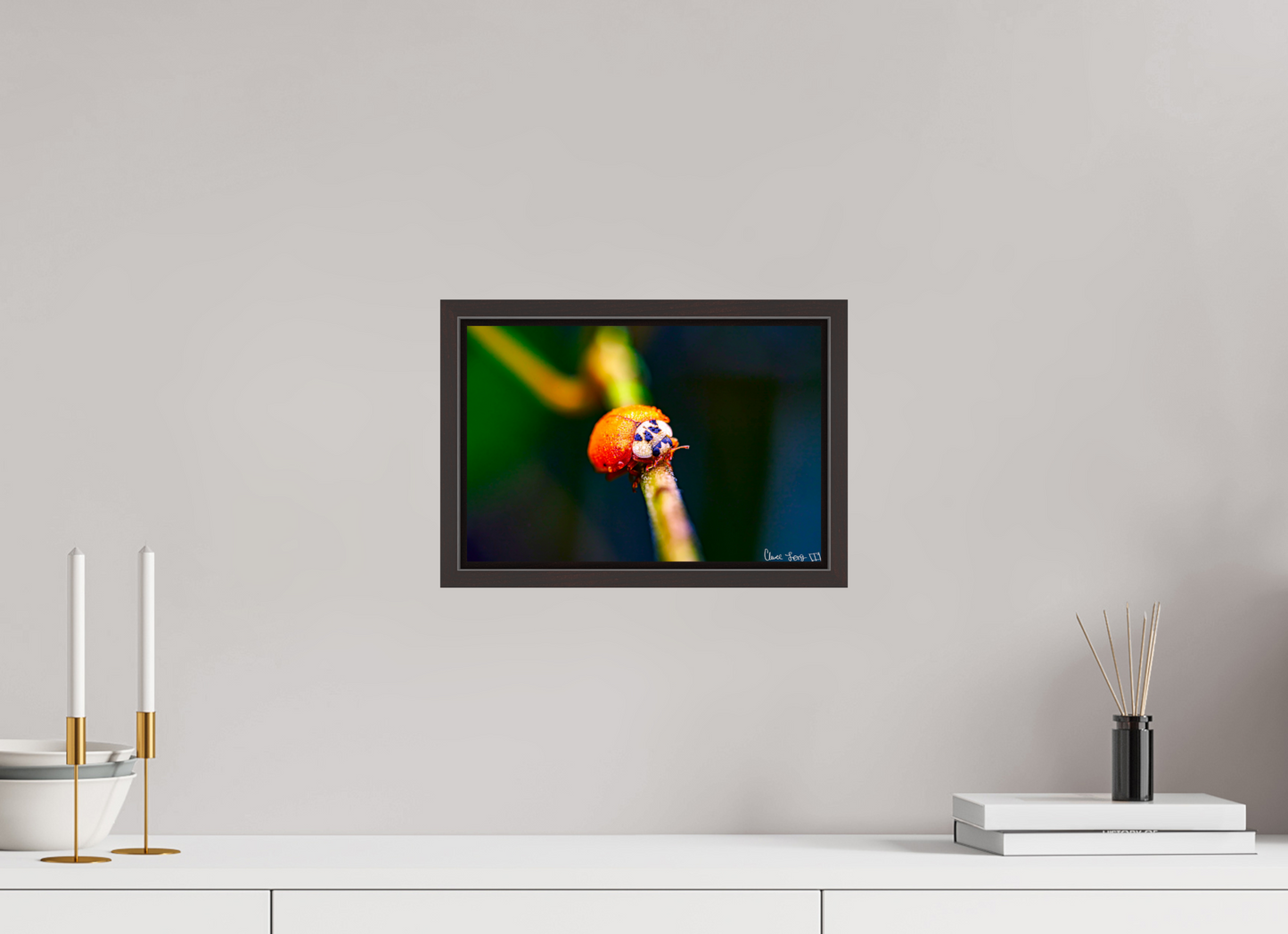 12 x 8″, Floater Frame Alder Brown Dew-Kissed Ladybug