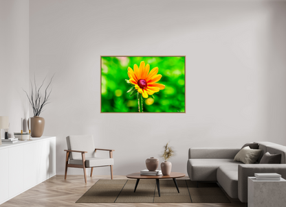 60 x 40″, Floater Frame Natural Oak Stillness in the Blur