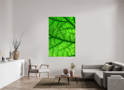 44 x 66″, Glossy Canvas Rivers & Streams