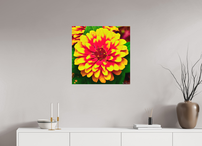 25 x 25″, Matte Metal Radiance