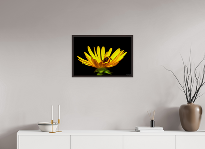 24 x 16″, Floater Frame Alder Brown Sweet Dreams
