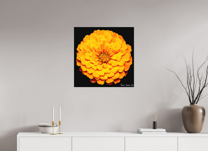 25 x 25″, Forex Midnight Sun