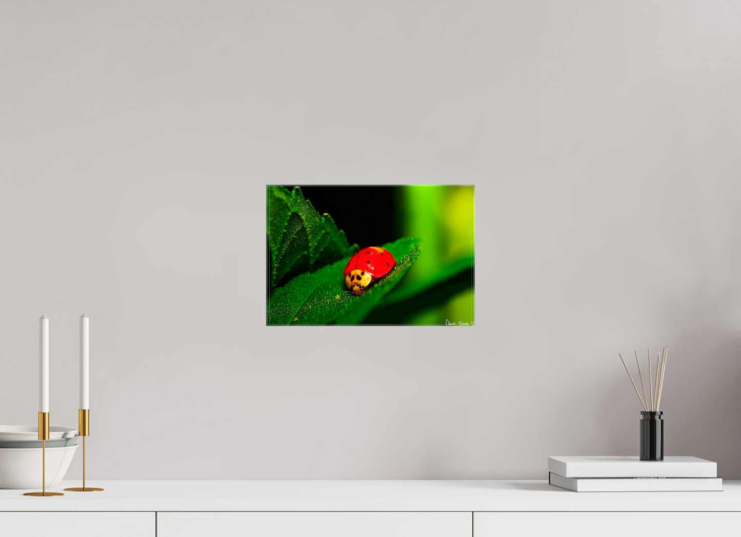 12 x 8″, Glossy Canvas Our Lady Bird