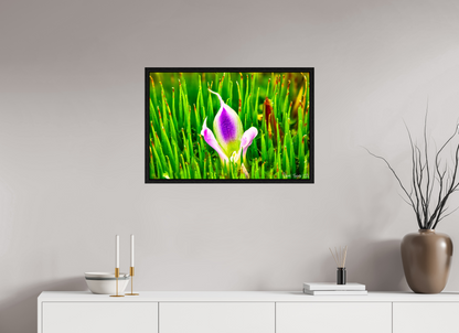 30 x 20″, Floater Frame Black Oak Maverick