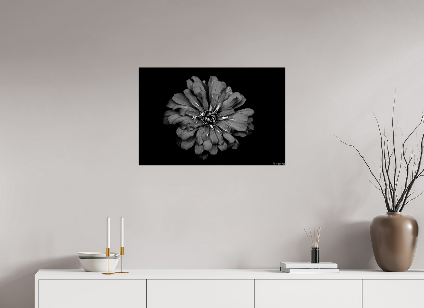30 x 20″, Glossy Metal Carbon Zinnia