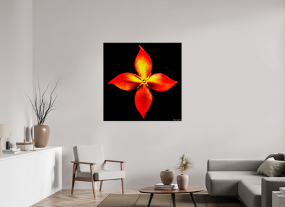 45 x 45″, Acrylic Blazing Compass