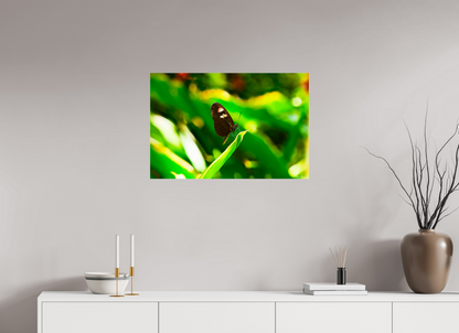 30 x 20″, Acrylic Time Stands Still