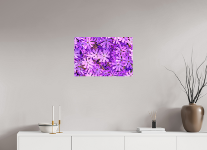 24 x 16″, Matte Canvas Lavender Moss Phlox
