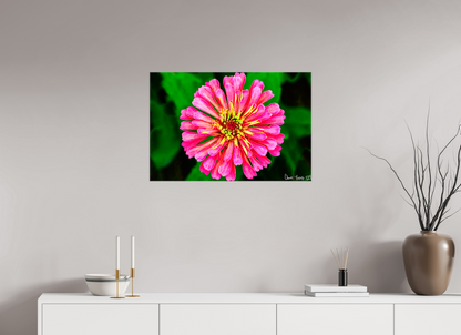 30 x 20″, Glossy Canvas Peach Summer