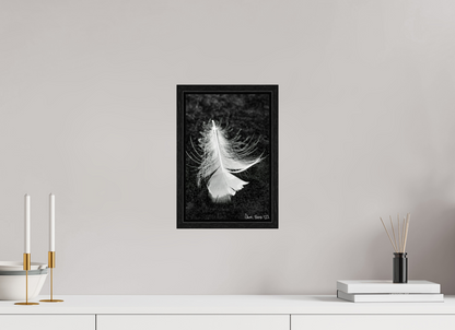 8 x 12″, Floater Frame Black Oak Feather On Ice