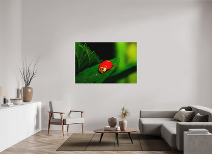 60 x 40″, Matte Metal Our Lady Bird