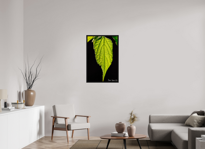 24 x 36″, Floater Frame Black Oak Eternal Glow