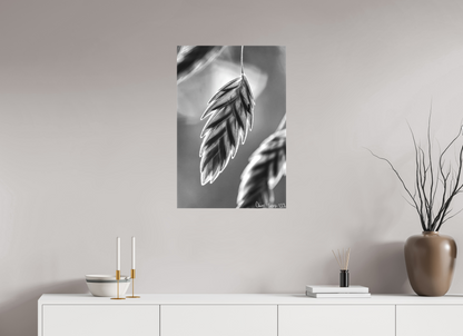 20 x 30″, Matte Canvas Achromatize