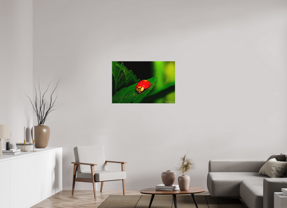 36 x 24″, Matte Metal Our Lady Bird