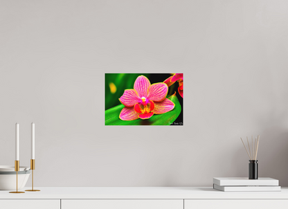 12 x 8″, Matte Metal Vigorous Orchid