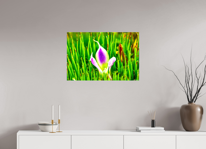 30 x 20″, Glossy Canvas Maverick