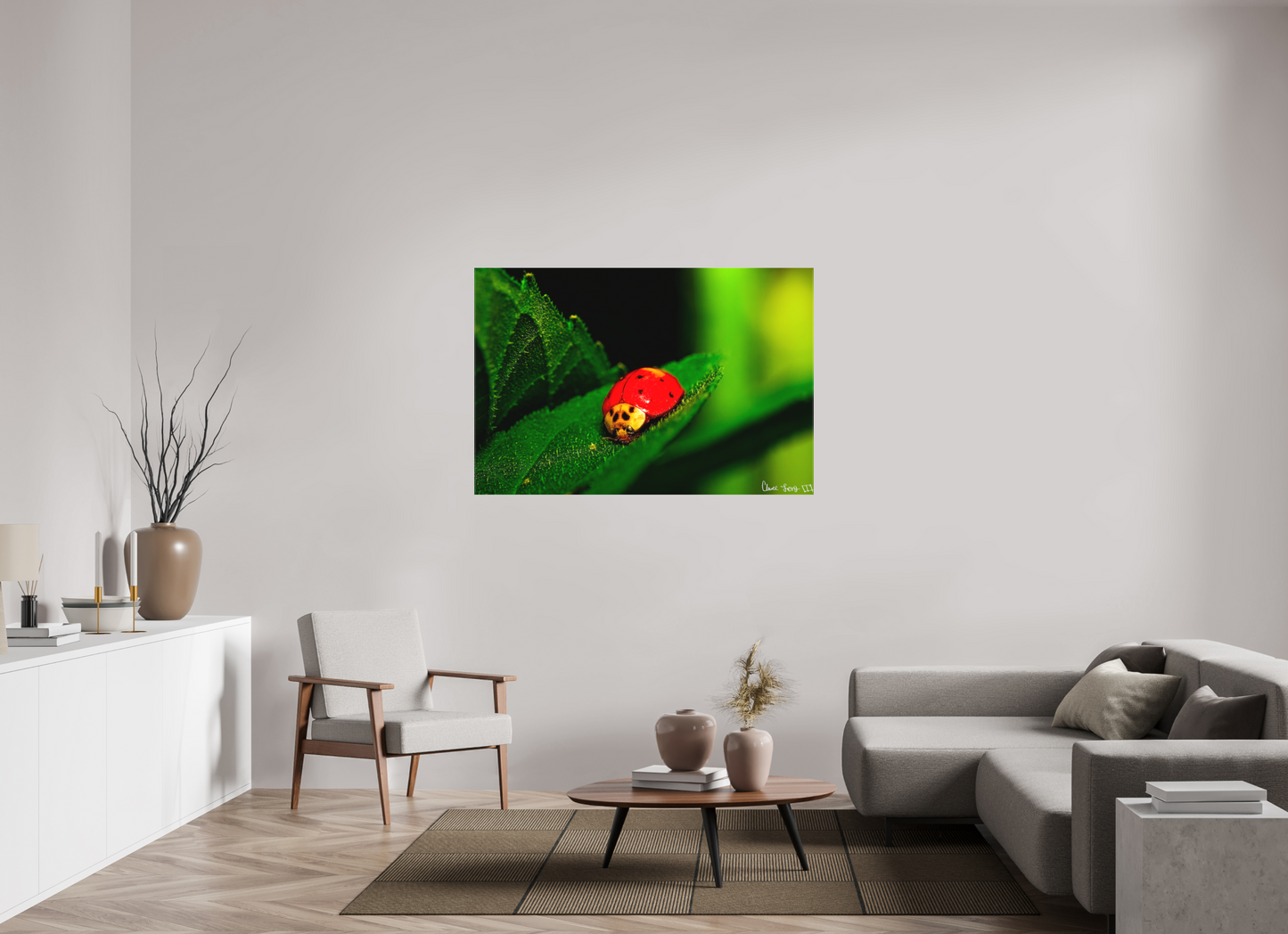 54 x 36″, Matte Canvas Our Lady Bird
