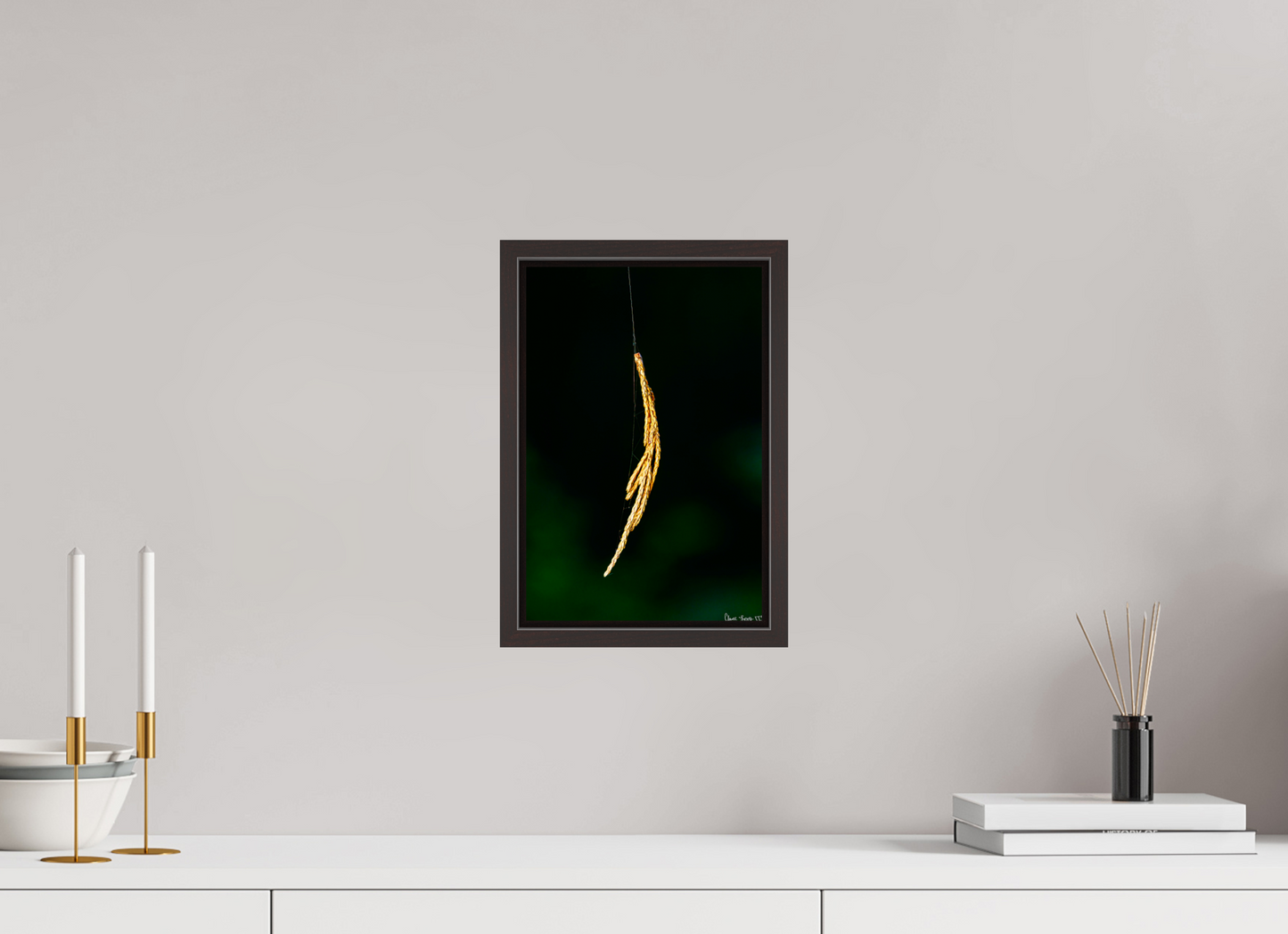 8 x 12″, Floater Frame Alder Brown Nature’s Tether
