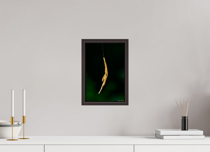 8 x 12″, Floater Frame Alder Brown Nature’s Tether