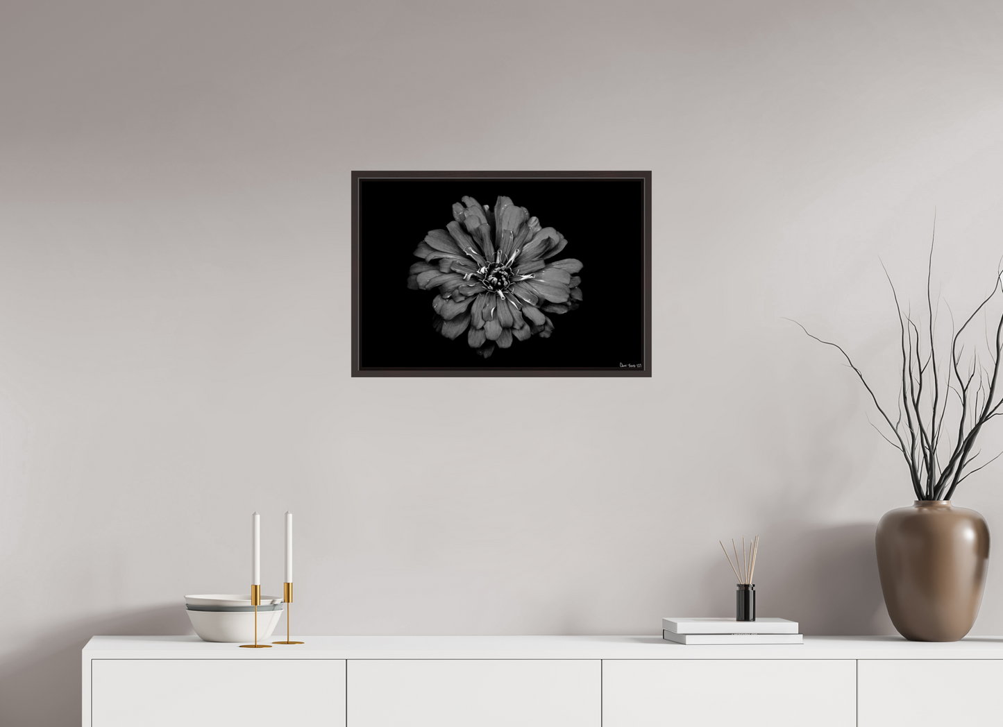 24 x 16″, Floater Frame Alder Brown Carbon Zinnia