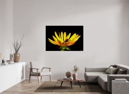 60 x 40″, Floater Frame Maple White Sweet Dreams