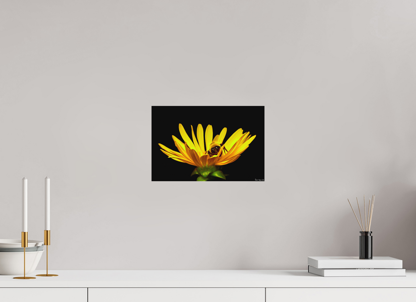 12 x 8″, Direct Print on Aluminum Dibond Default Sweet Dreams