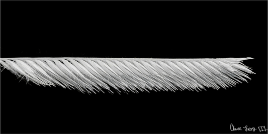 Main image Frayed Precision