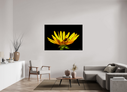 60 x 40″, Floater Frame Black Oak Sweet Dreams