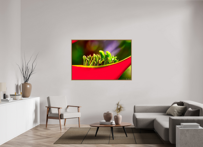 60 x 40″, Floater Frame Natural Oak Utopia