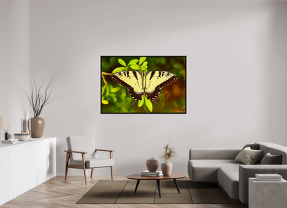 60 x 40″, Floater Frame Black Oak Angel's Landing