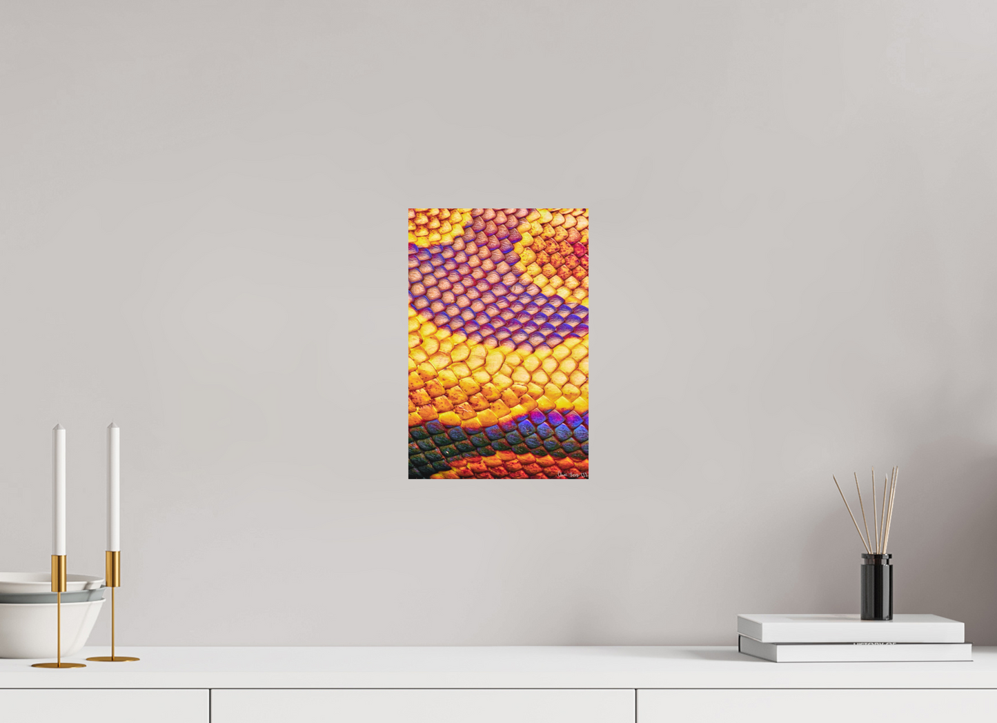 8 x 12″, Forex Python’s Iridescence