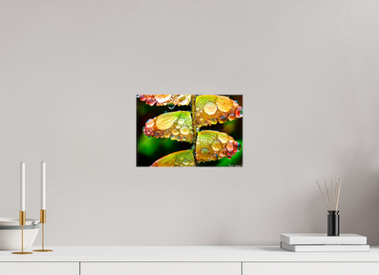 12 x 8″, Glossy Canvas Monarch’s Abundance