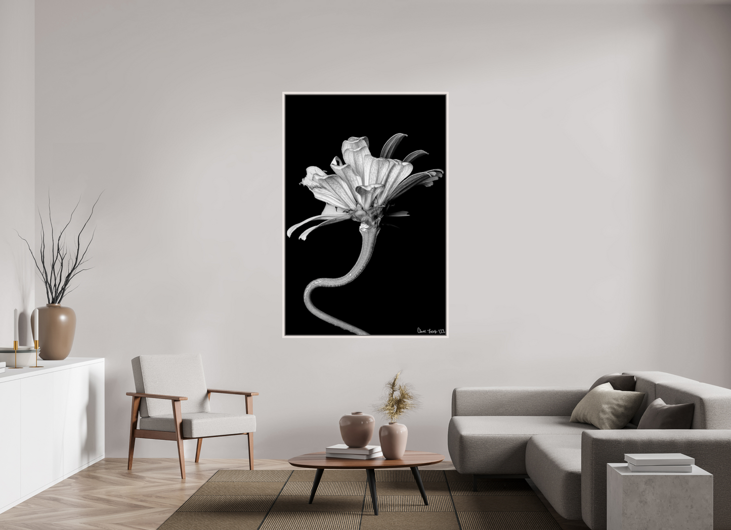 44 x 66″, Floater Frame Maple White Kingsnake’s Florescence