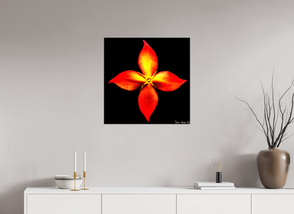 25 x 25″, Glossy Canvas Blazing Compass