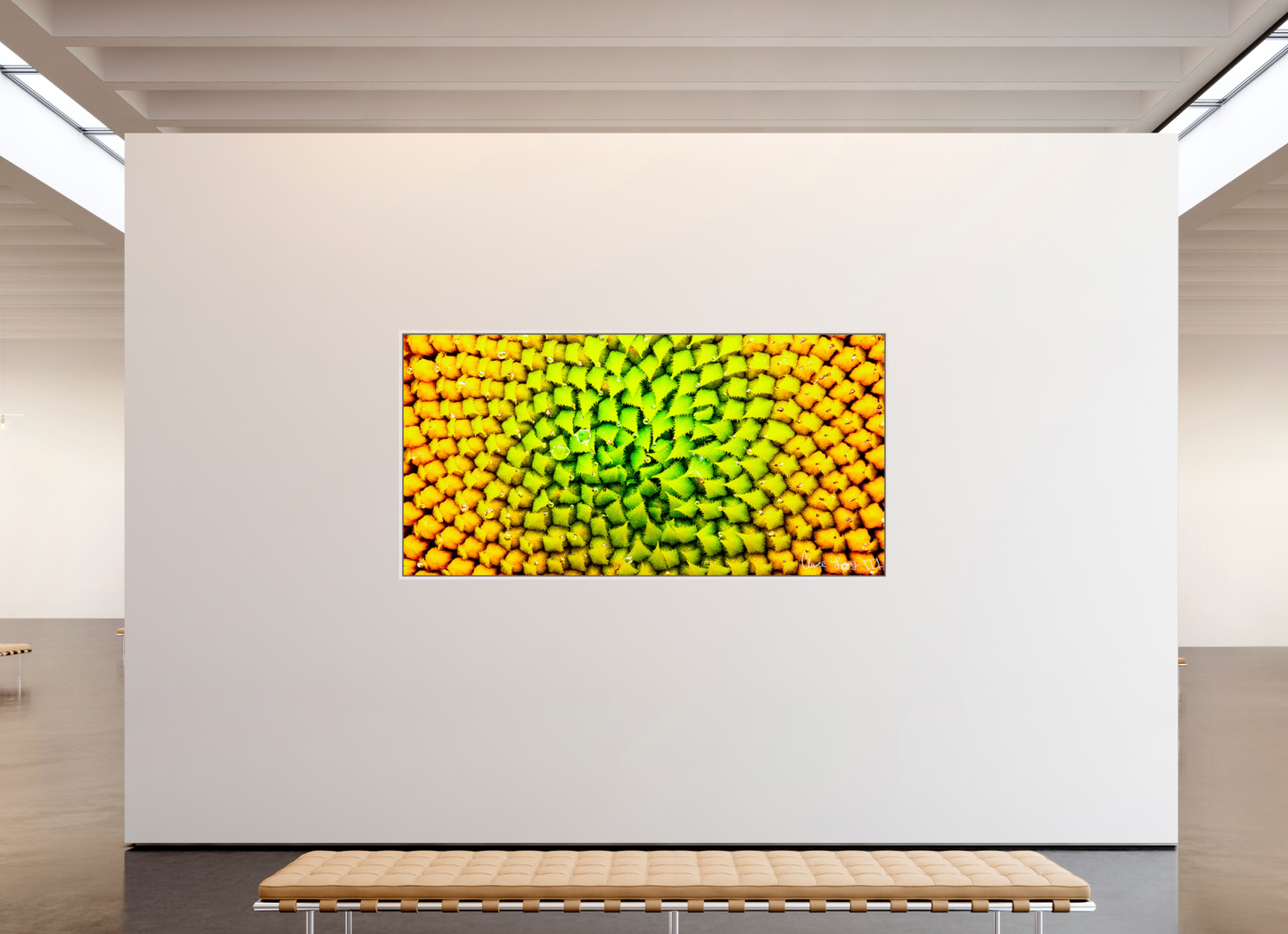 94 x 47″, Floater Frame Maple White Geometric Harmony