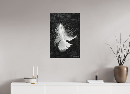 20 x 30″, Matte Metal Feather On Ice