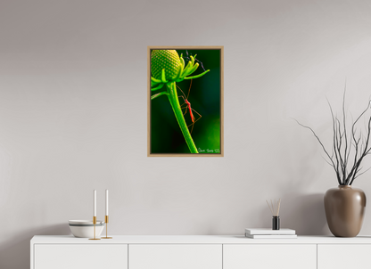 16 x 24″, Floater Frame Natural Oak Reaching the Apex