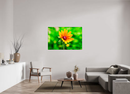 54 x 36″, Floater Frame Maple White Stillness in the Blur