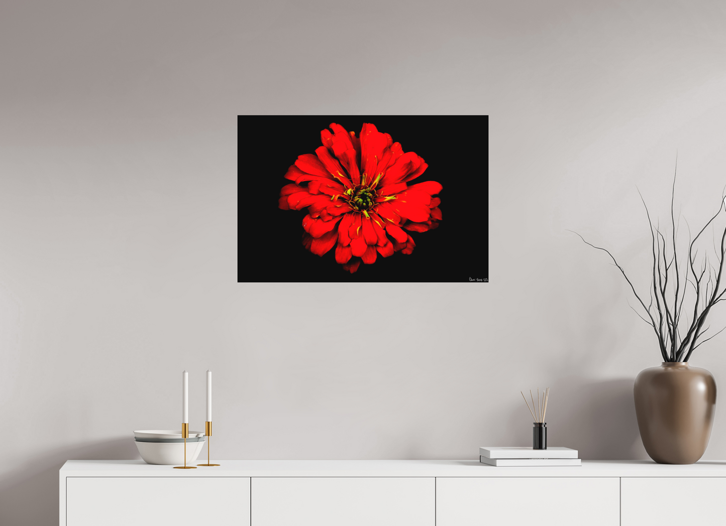 30 x 20″, Matte Metal Zinnia of Fire