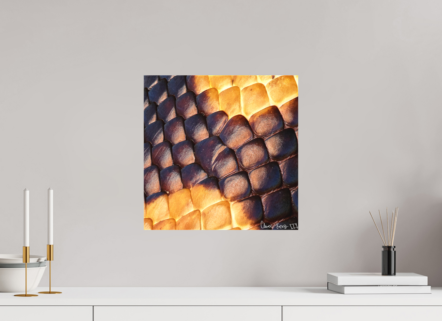 15 x 15″, Matte Canvas Python’s Glow