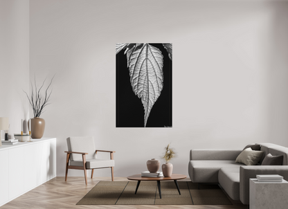40 x 60″, Matte Canvas Reticulate Venation