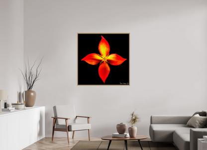 40 x 40″, Floater Frame Natural Oak Blazing Compass
