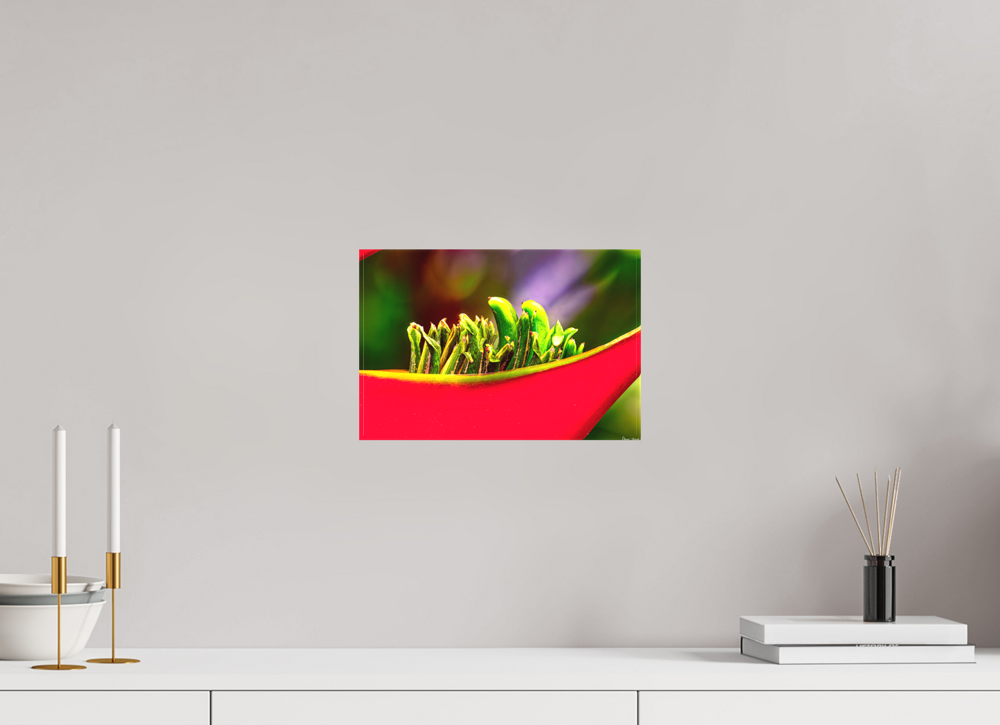 12 x 8″, Matte Canvas Utopia