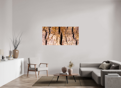 62 x 31″, Glossy Canvas Fissure