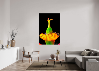 44 x 66″, Acrylic Bubble Fountain