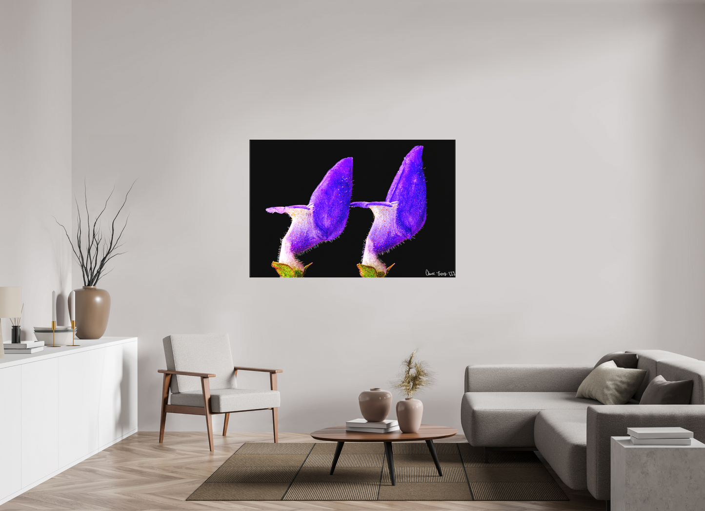 60 x 40″, Matte Canvas Coleus Barbatus